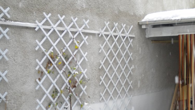 un texte écrit en classe, en surveillant un devoir...