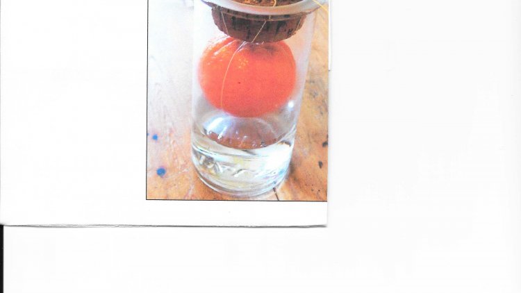 Alcool à saveur orangée,  avec le goût de Cointreau