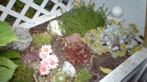 Ces portes créent une perspective interessante dans un jardin, ou un espace vert naturel......mettant en relief les sujets interessants.créant une atmosphère originale et particulière.......