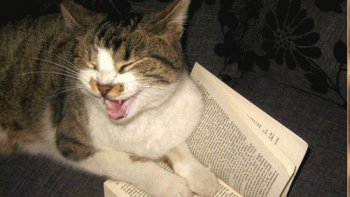 quelques images humoristiques pour, réchauffer les coeurs  et remonter le moral ,rester   optimistes,,