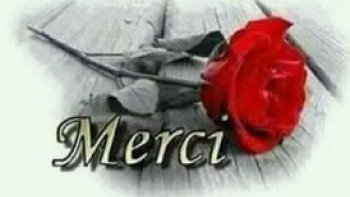 MERCI DE M'AVOIR PERMIS DE VOUS DIRE MERCI.
Texte remis en avant par Ordissimo suite au drame de NOTRE DAME DE PARIS "c'est pour dire merci à nos valeureux pompiers de Paris ainsi qu'a nos policiers pour leur courage a sortir au peril de leur vie de la cathédral en feu ses trésors."
